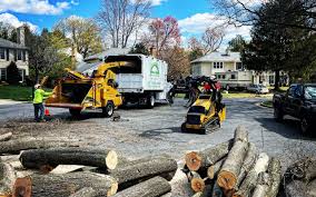 Best Commercial Tree Services  in Bangor Base, WA