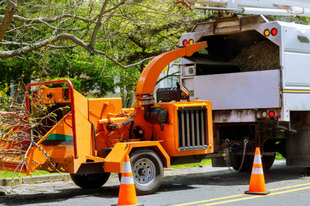 Best Lot and Land Clearing  in Bangor Base, WA