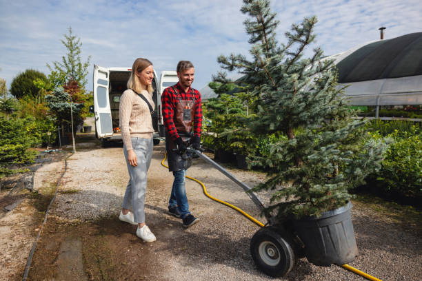 Best Landscape Design and Installation  in Bangor Base, WA