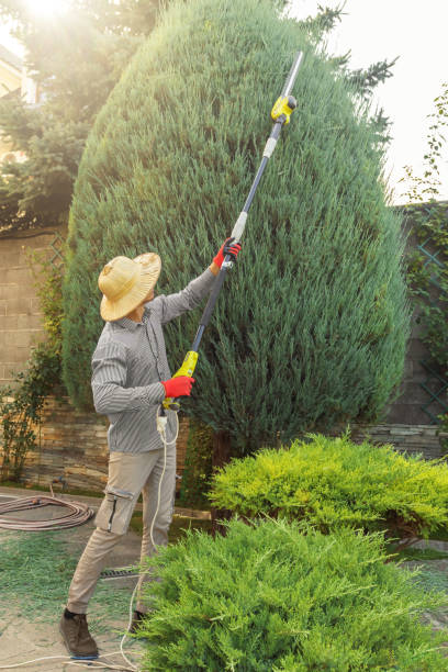 Best Aeration Services  in Bangor Base, WA